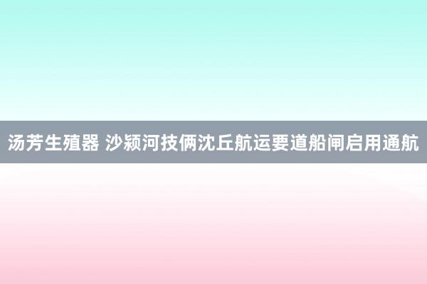 汤芳生殖器 沙颍河技俩沈丘航运要道船闸启用通航