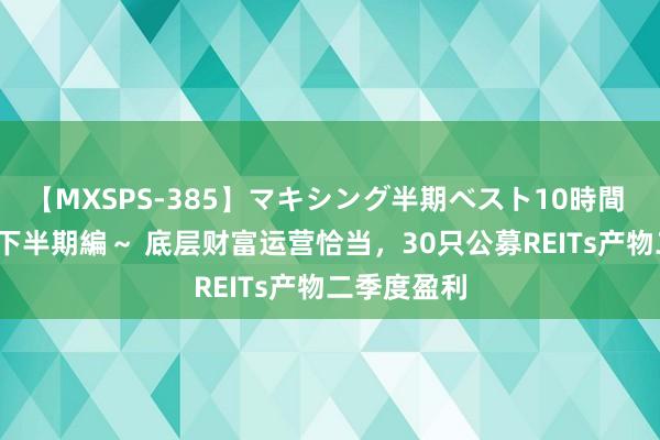 【MXSPS-385】マキシング半期ベスト10時間 ～2014年下半期編～ 底层财富运营恰当，30只公募REITs产物二季度盈利