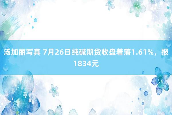 汤加丽写真 7月26日纯碱期货收盘着落1.61%，报1834元