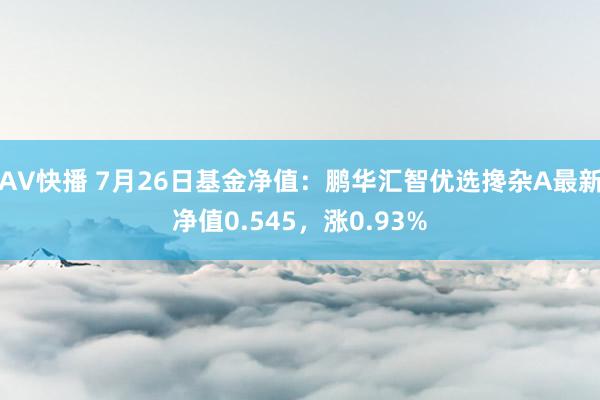 AV快播 7月26日基金净值：鹏华汇智优选搀杂A最新净值0.545，涨0.93%