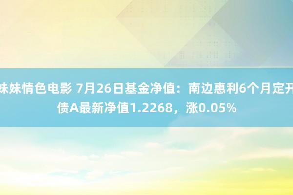 妹妹情色电影 7月26日基金净值：南边惠利6个月定开债A最新净值1.2268，涨0.05%