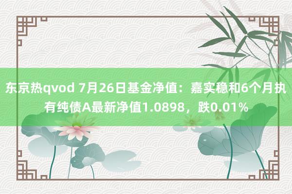 东京热qvod 7月26日基金净值：嘉实稳和6个月执有纯债A最新净值1.0898，跌0.01%