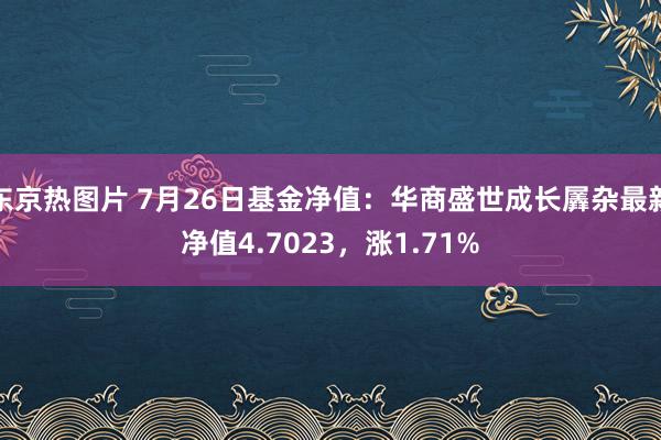 东京热图片 7月26日基金净值：华商盛世成长羼杂最新净值4.7023，涨1.71%