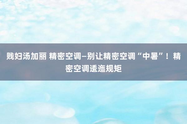 贱妇汤加丽 精密空调—别让精密空调“中暑”！精密空调逶迤规矩