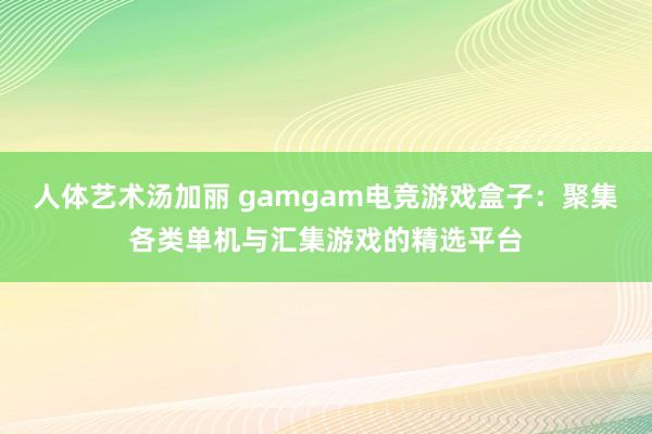 人体艺术汤加丽 gamgam电竞游戏盒子：聚集各类单机与汇集游戏的精选平台