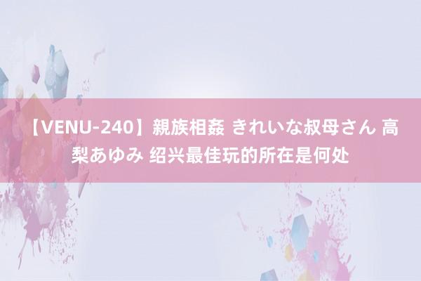 【VENU-240】親族相姦 きれいな叔母さん 高梨あゆみ 绍兴最佳玩的所在是何处