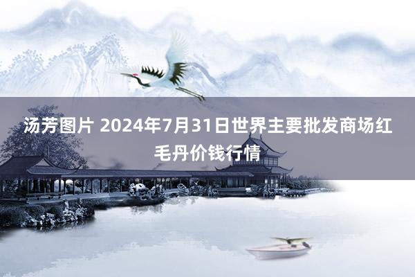 汤芳图片 2024年7月31日世界主要批发商场红毛丹价钱行情