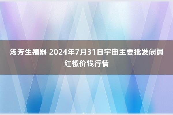 汤芳生殖器 2024年7月31日宇宙主要批发阛阓红椒价钱行情