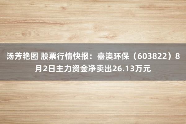 汤芳艳图 股票行情快报：嘉澳环保（603822）8月2日主力资金净卖出26.13万元