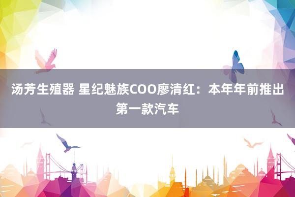 汤芳生殖器 星纪魅族COO廖清红：本年年前推出第一款汽车