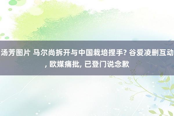 汤芳图片 马尔尚拆开与中国栽培捏手? 谷爱凌删互动， 欧媒痛批， 已登门说念歉