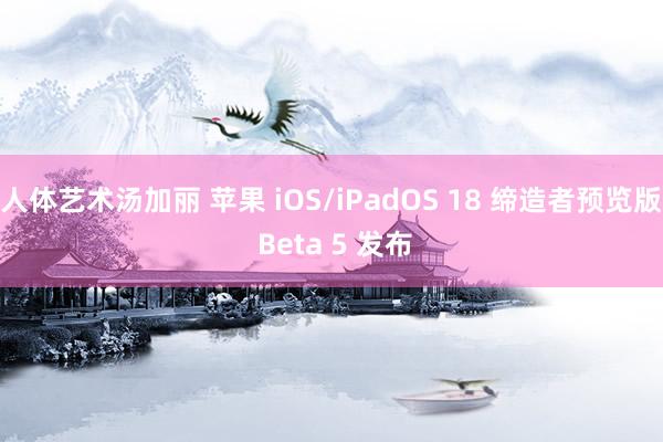 人体艺术汤加丽 苹果 iOS/iPadOS 18 缔造者预览版 Beta 5 发布