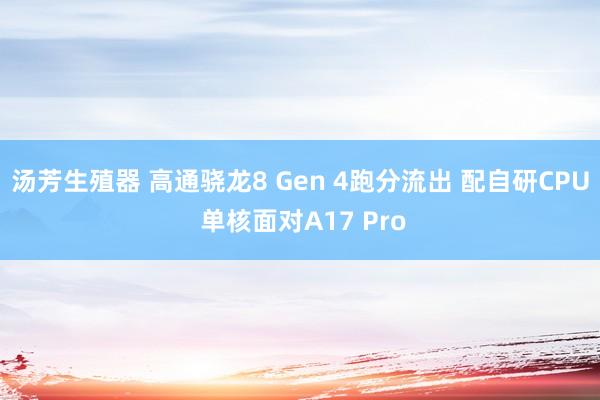 汤芳生殖器 高通骁龙8 Gen 4跑分流出 配自研CPU 单核面对A17 Pro