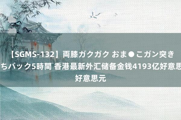 【SGMS-132】両膝ガクガク おま●こガン突き 立ちバック5時間 香港最新外汇储备金钱4193亿好意思元