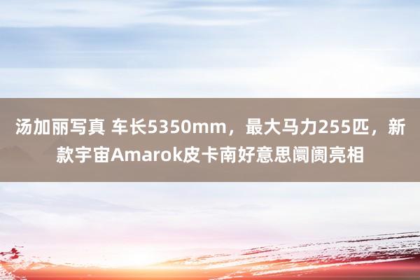 汤加丽写真 车长5350mm，最大马力255匹，新款宇宙Amarok皮卡南好意思阛阓亮相