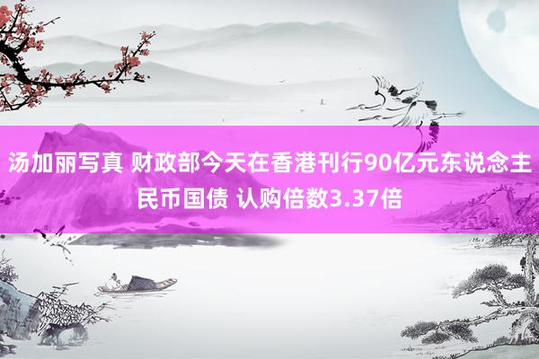 汤加丽写真 财政部今天在香港刊行90亿元东说念主民币国债 认购倍数3.37倍