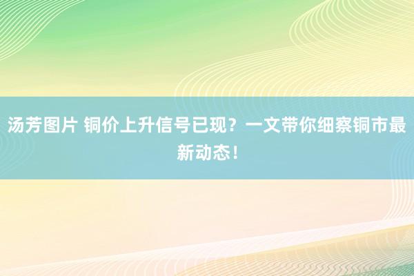 汤芳图片 铜价上升信号已现？一文带你细察铜市最新动态！