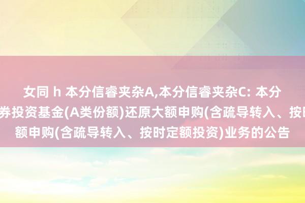 女同 h 本分信睿夹杂A，本分信睿夹杂C: 本分信睿中枢精选夹杂型证券投资基金(A类份额)还原大额申购(含疏导转入、按时定额投资)业务的公告