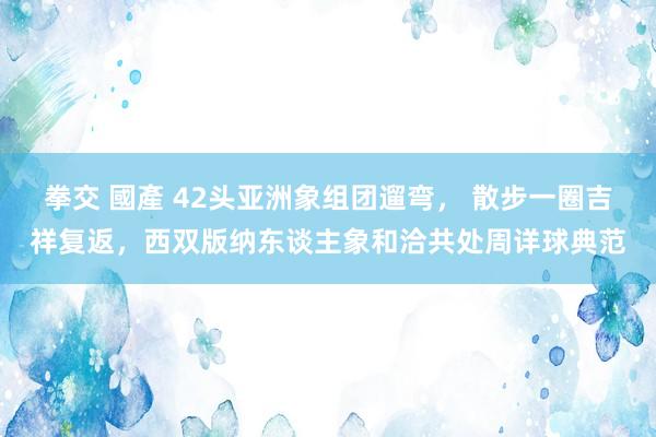 拳交 國產 42头亚洲象组团遛弯， 散步一圈吉祥复返，西双版纳东谈主象和洽共处周详球典范