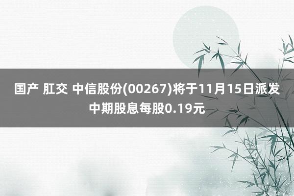 国产 肛交 中信股份(00267)将于11月15日派发中期股息每股0.19元