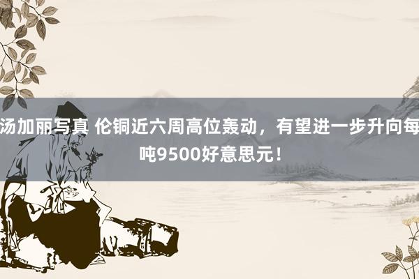 汤加丽写真 伦铜近六周高位轰动，有望进一步升向每吨9500好意思元！