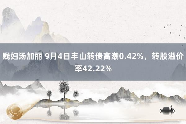 贱妇汤加丽 9月4日丰山转债高潮0.42%，转股溢价率42.22%